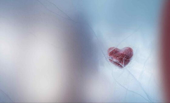 Bei fünf Grad schmilzt kein Herz